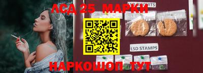 крисы Новозыбков