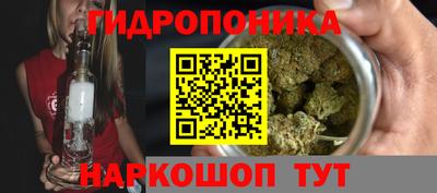 крисы Новозыбков