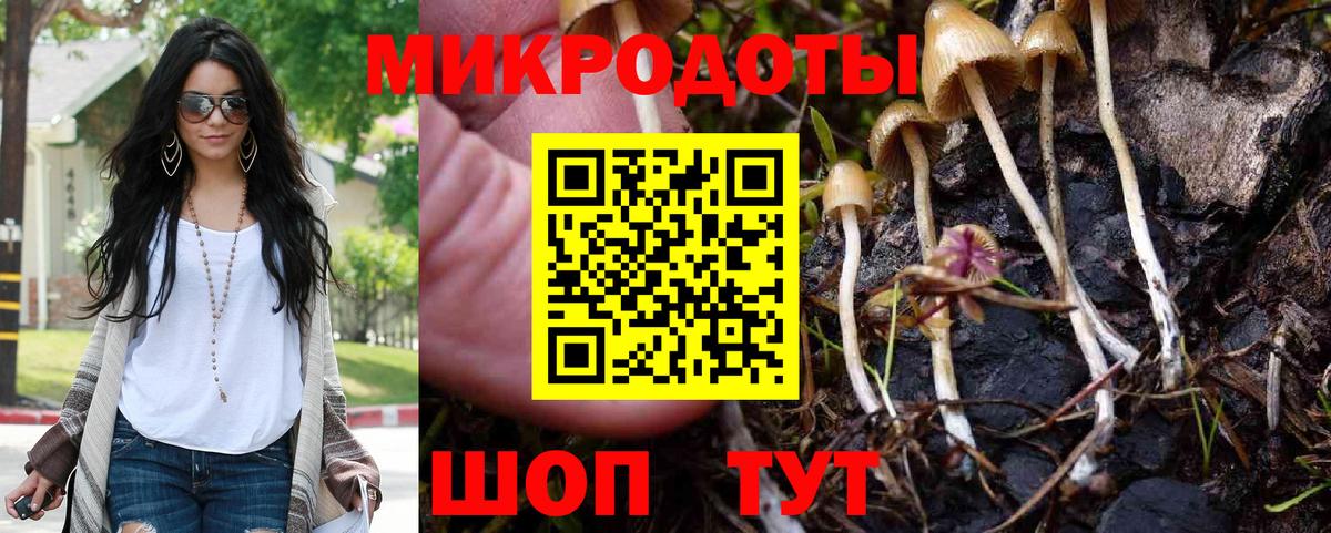 Галлюциногенные грибы ЛСД  Галлюциногенные грибы ЛСД  Вход с VPN  Черногорск 