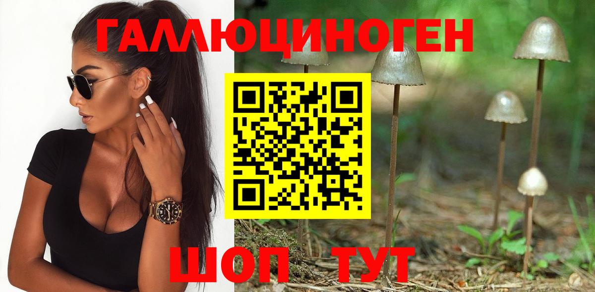 Псилоцибиновые грибы MAGIC MUSHROOMS Черногорск